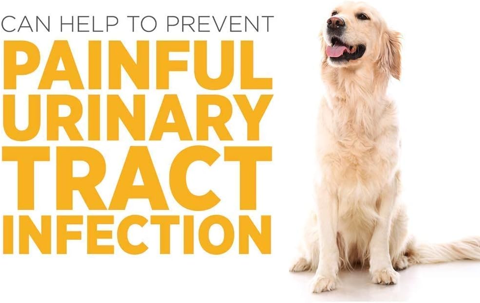 bundle-for-dogs-urinary-health---sam-e-support-canine-bladder-supplement-by-maxxipaws-6