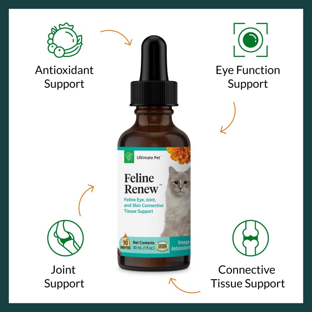 feline-renew-omega-3-supplement-for-cats---immune-joint-skin-support---30-servings-1