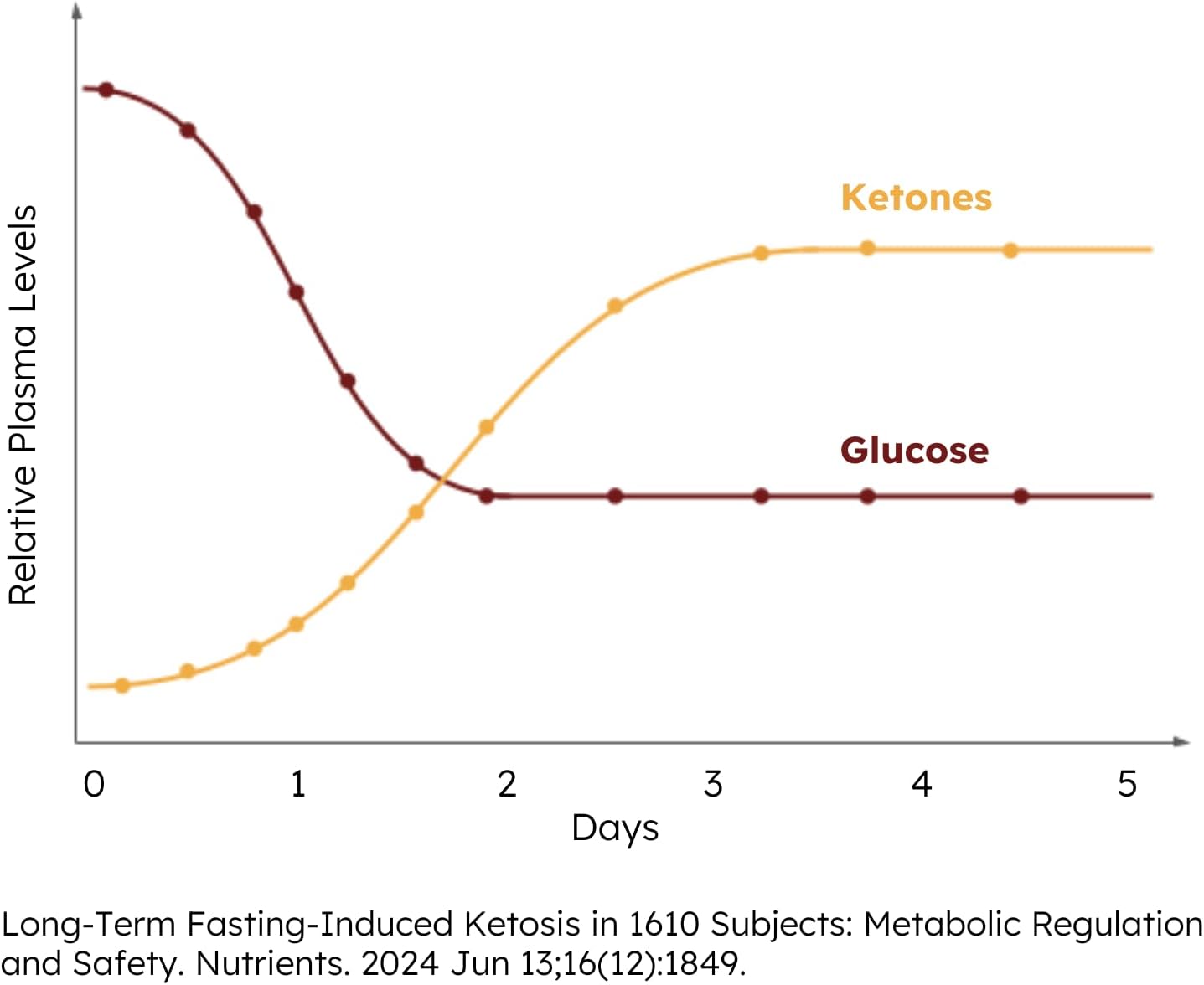 Ketone-Enhanced Fasting Chocolate Electrolyte Supplement with No Sugar Salt - Hydration Drink Mix for Fasting - FSTN Brand - Espot.com.au