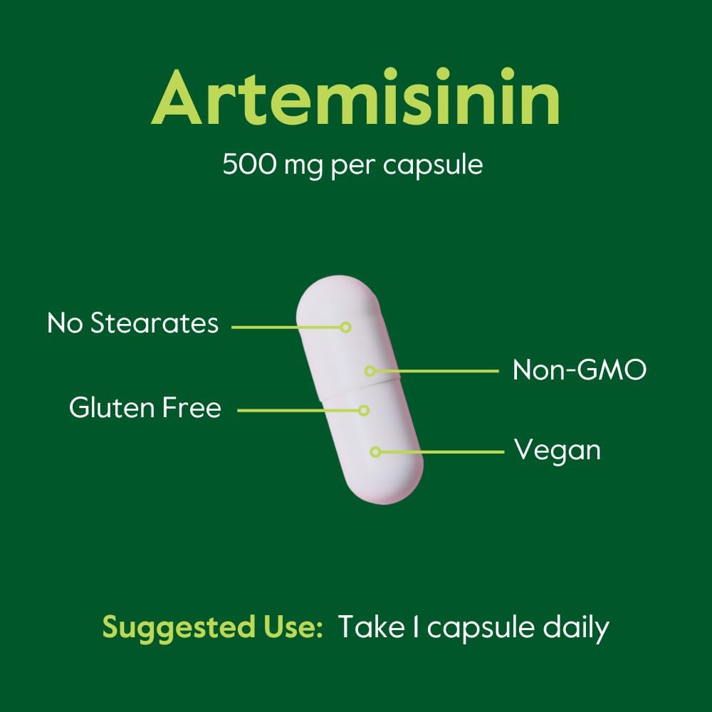 Artemisinin 500mg Capsules (120 Count) - Vegan, Non-GMO, Gluten-Free - No Fillers, Stearates, or Flow Agents - 2 Month Supply - Espot.com.au
