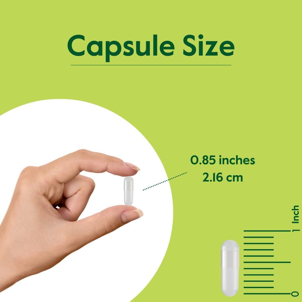 certified-organic-lions-mane-capsules---500mg-120-veggie-caps---non-gmo-gluten-free-vegan---no-stearates---bestvite-quality-4
