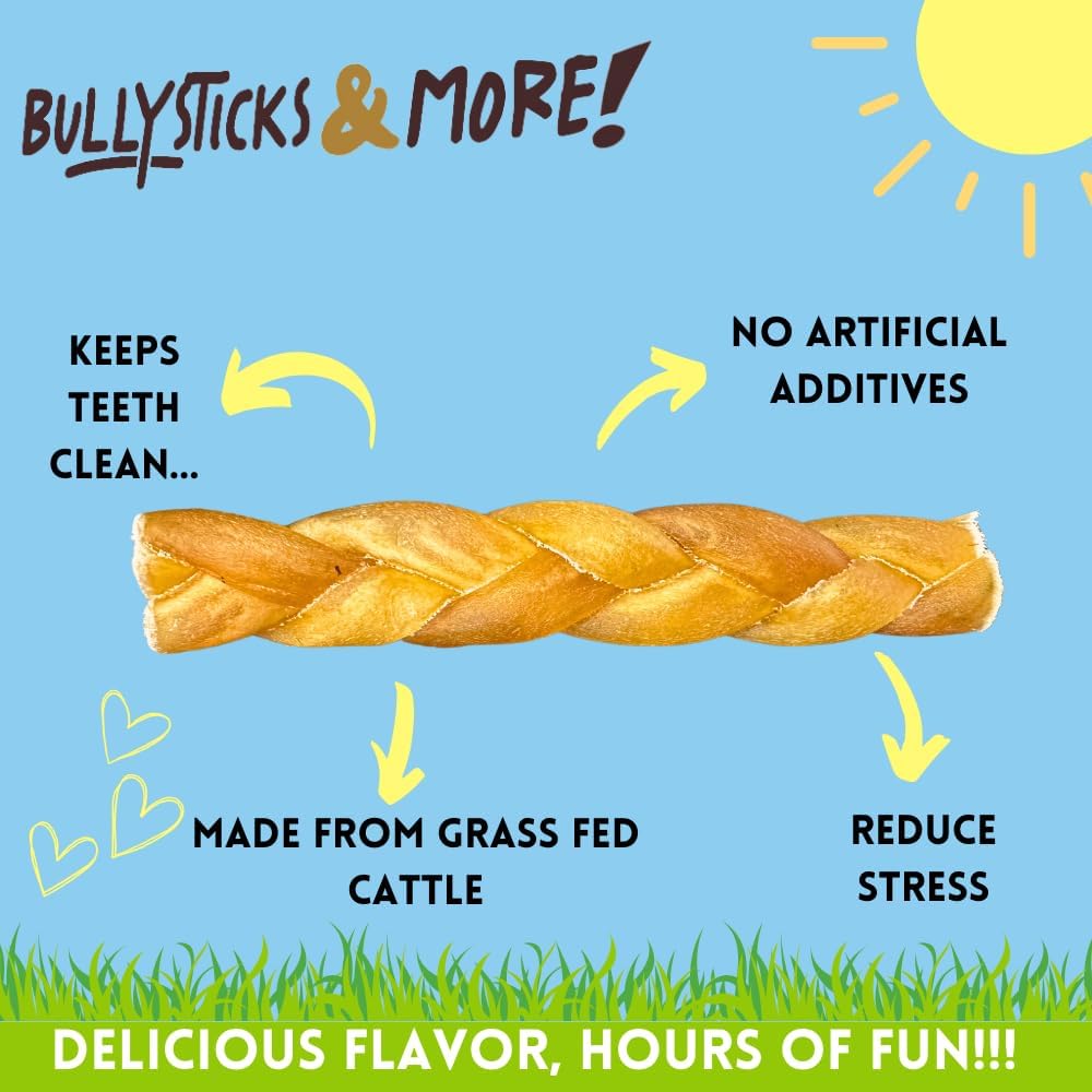 6" Braided Collagen Sticks - 8 Count - Natural Bullystick Treats
