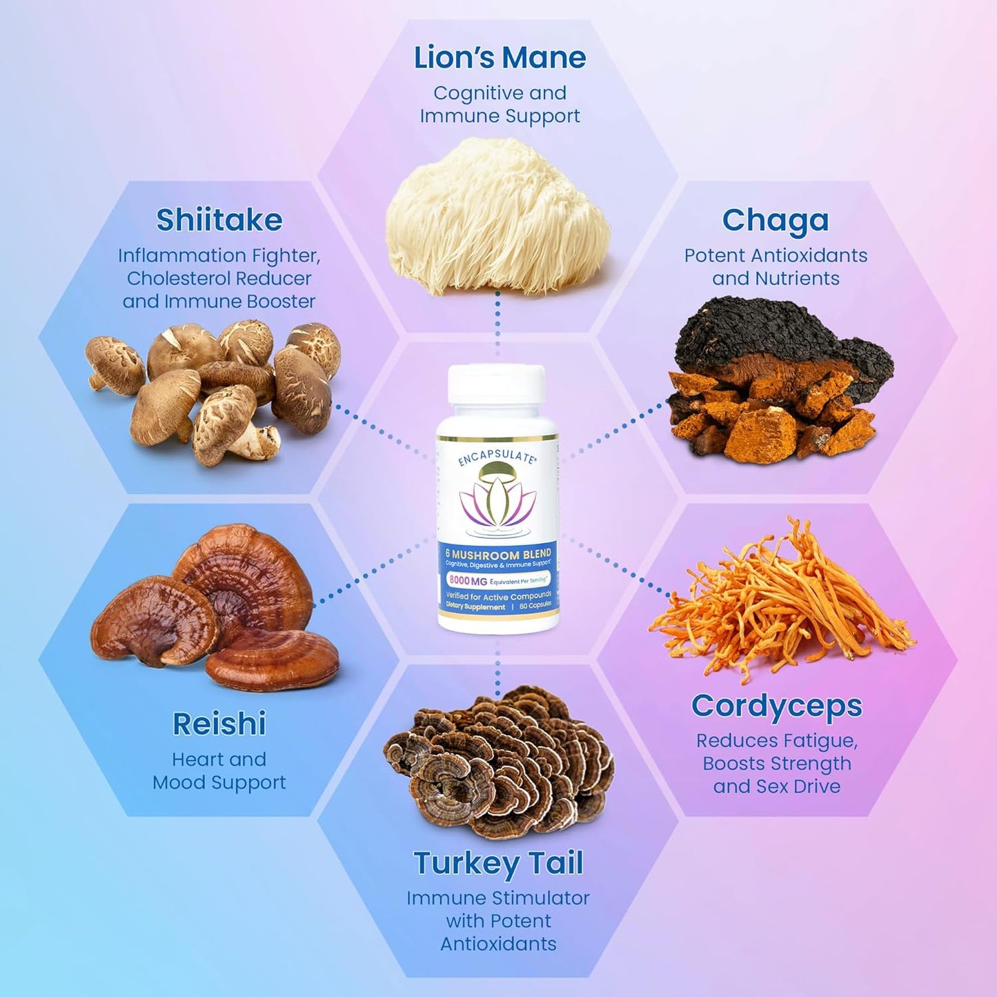 6 Mushroom Blend Capsules - Reishi, Chaga, Turkey Tail, Cordyceps, Lion’s Mane & Shiitake Extract - Nootropic & Adaptogen Supplement for Gut, Brain, Immune - 60 Caps