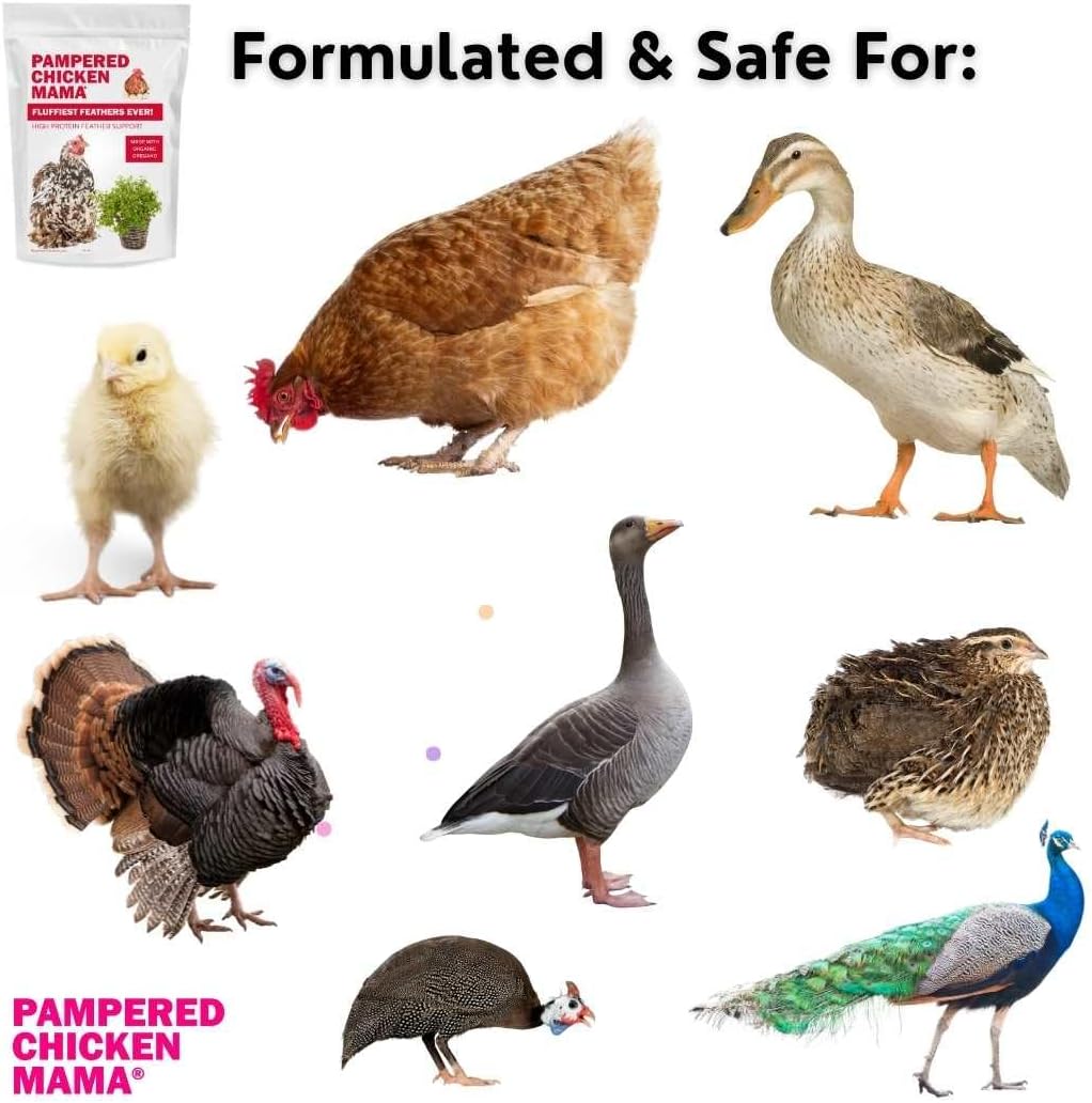 fluffiest-feathers-ever-backyard-chicken-supplement-treat---2-pounds-7