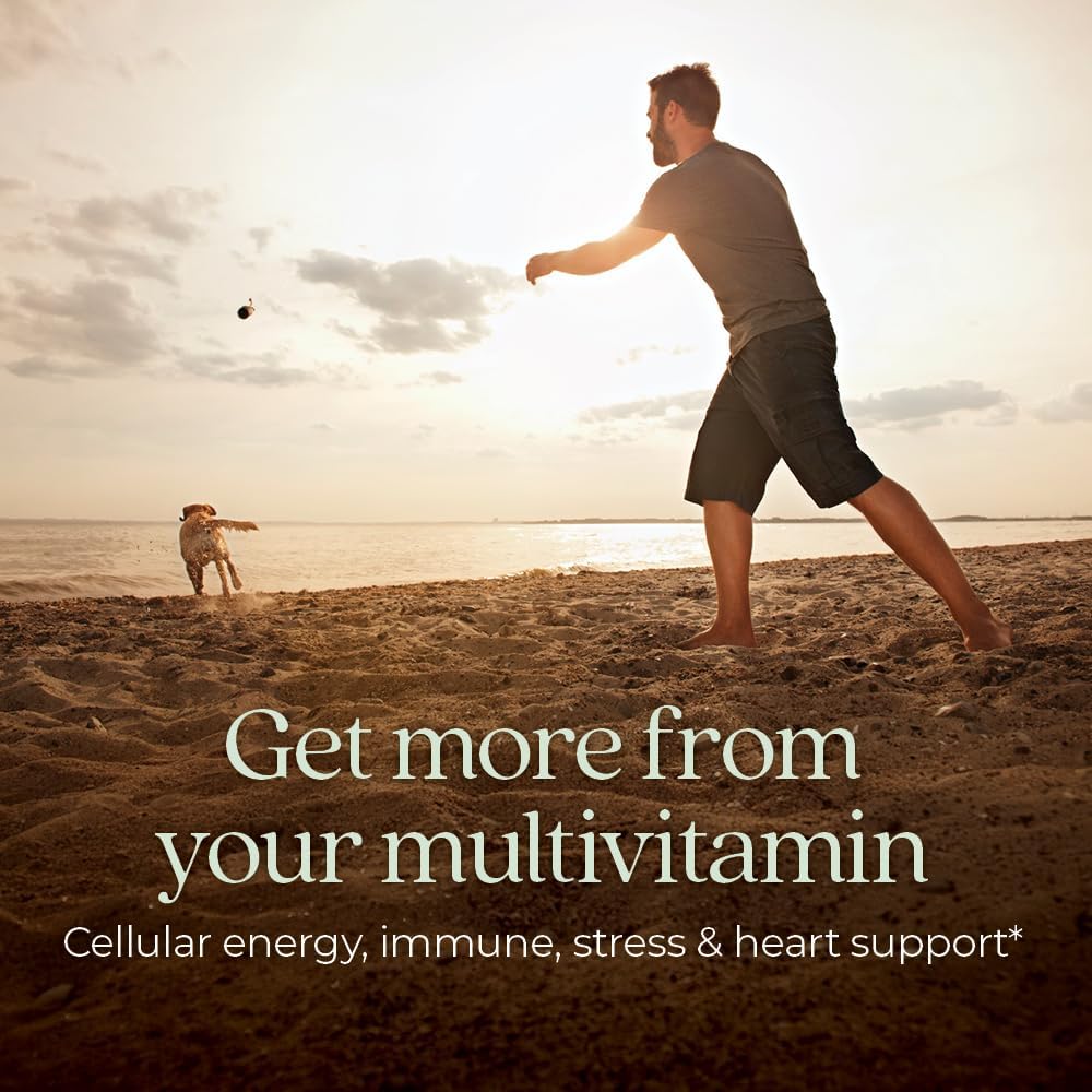 organic-mens-multivitamin-for-immune-stress-heart-energy-support---daily-supplement-with-fermented-nutrients-vegetables-herbs---non-gmo-gluten-free---72-count-2