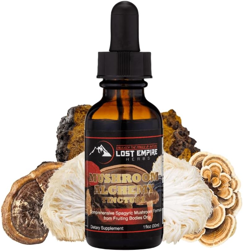 lost-empire-herbs-mushroom-alchemy-tincture---7-medicinal-mushrooms-spagyric-blend---reishi-turkey-tail-maitake-shiitake-lions-mane-artist-conk-chaga---1-fl-oz-1
