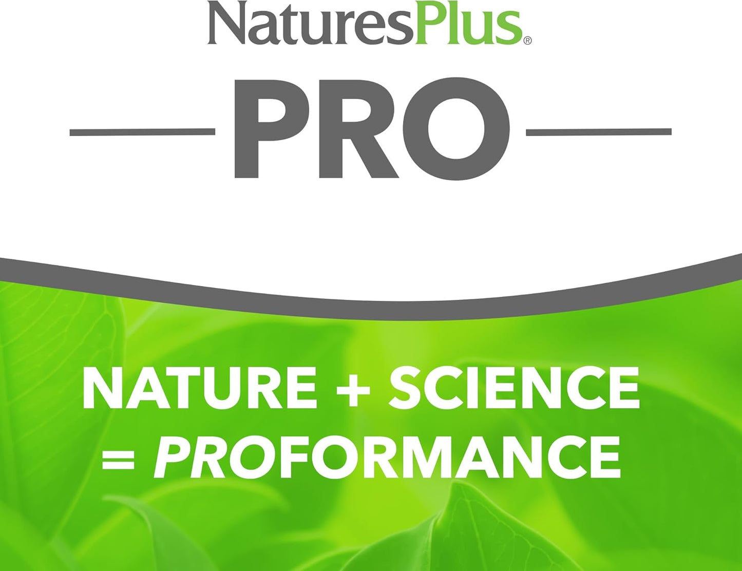 natures-plus-quercetin-capsules---500-mg---60-count---non-gmo-vegan-gluten-free---60-servings-2