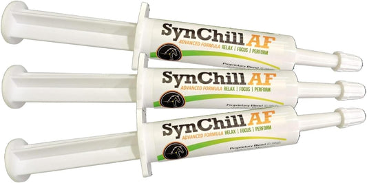 synnutra-equine-synchill-af-calming-gel---single-serving---advanced-formula-with-l-theanine---100-natural-supplement-for-nervous-horses---3-pack-1