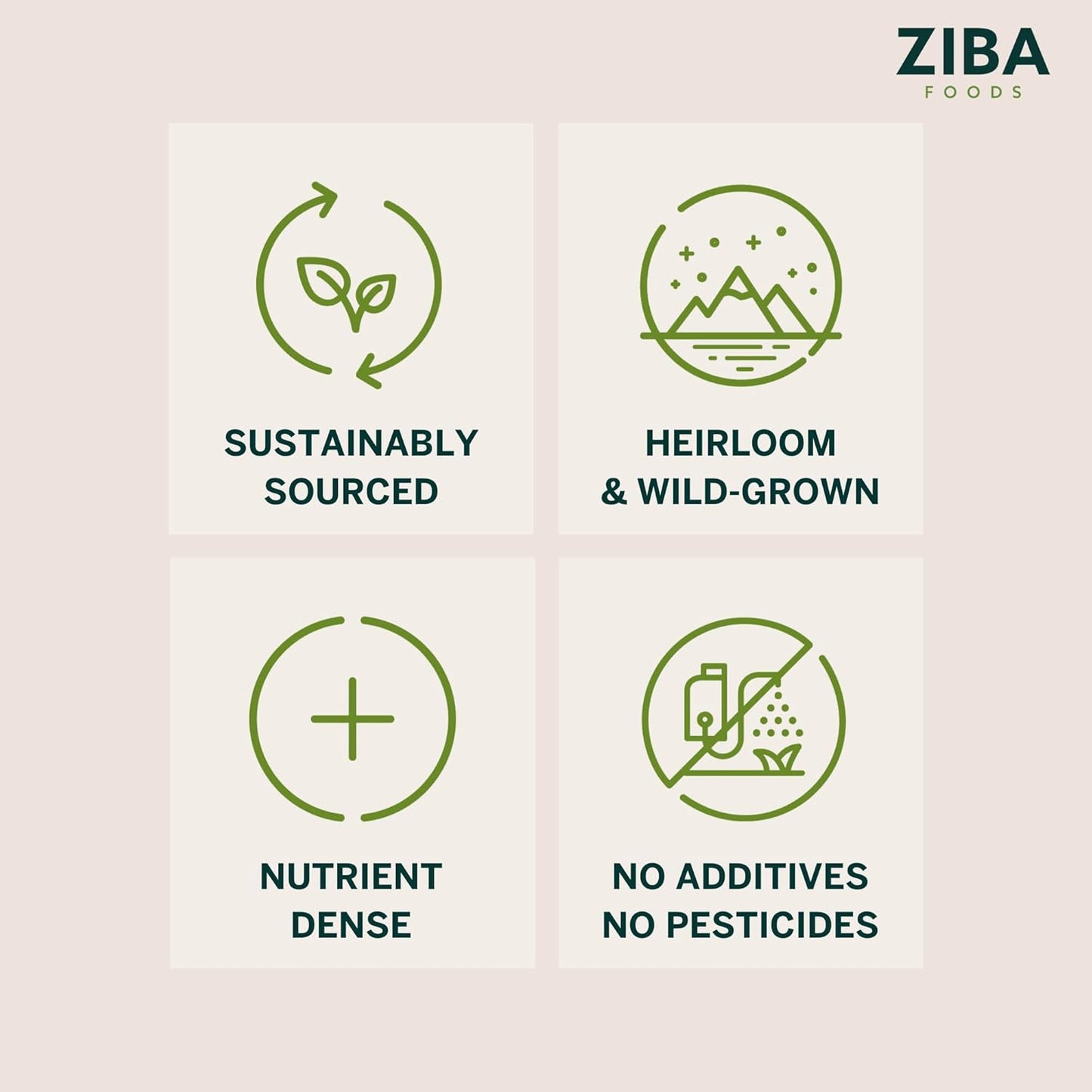 ziba-foods-wild-grown-sweet-apricot-kernels-superseed-pack-of-6-non-gmo-vegan-keto-paleo-dry-roasted-superfood-high-in-protein-omega-3s-9