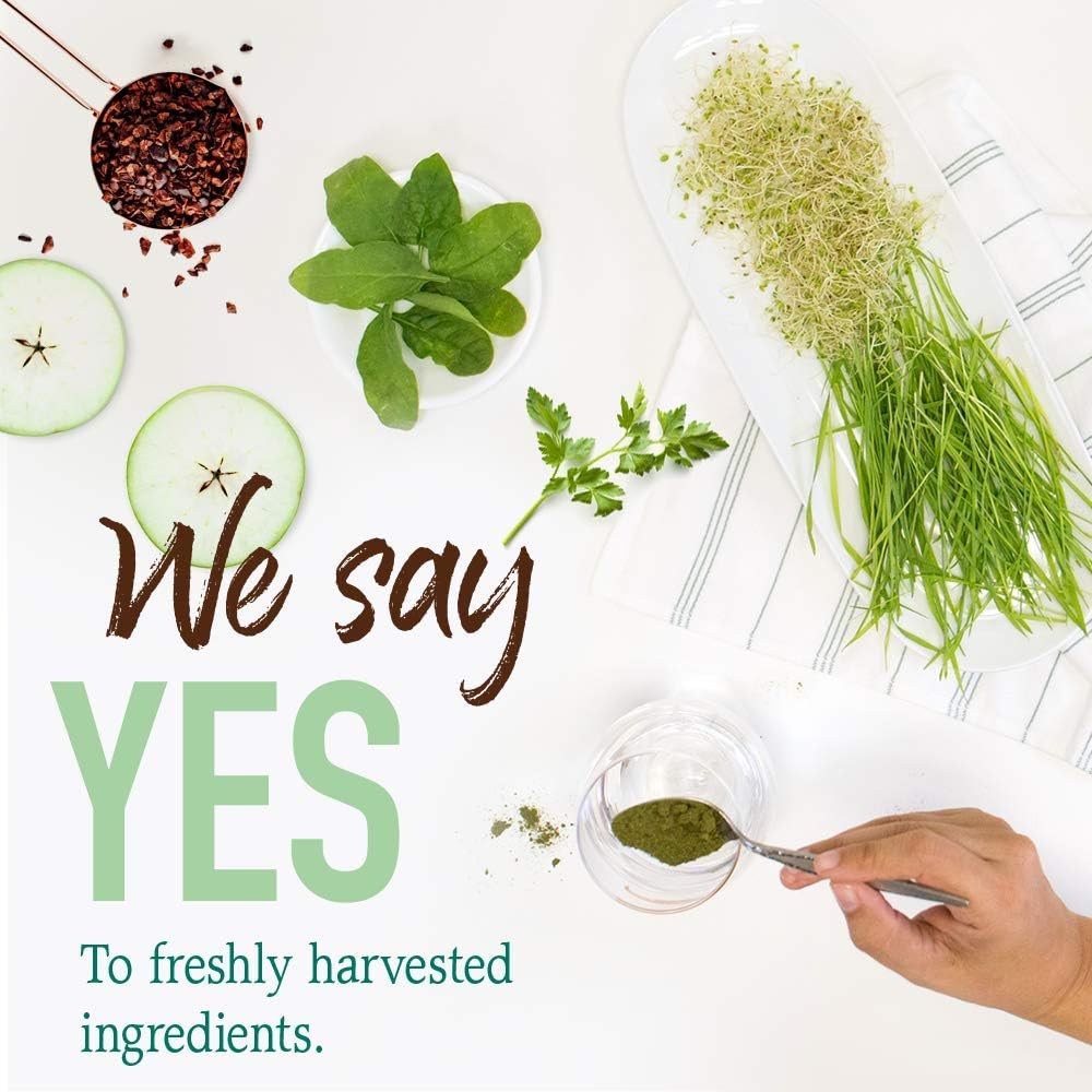 organic-chocolate-green-superfood-powder---garden-of-life-raw-perfect-food-60-servings-non-gmo-gluten-free-vegan-dietary-supplement-with-probiotics-enzymes-8