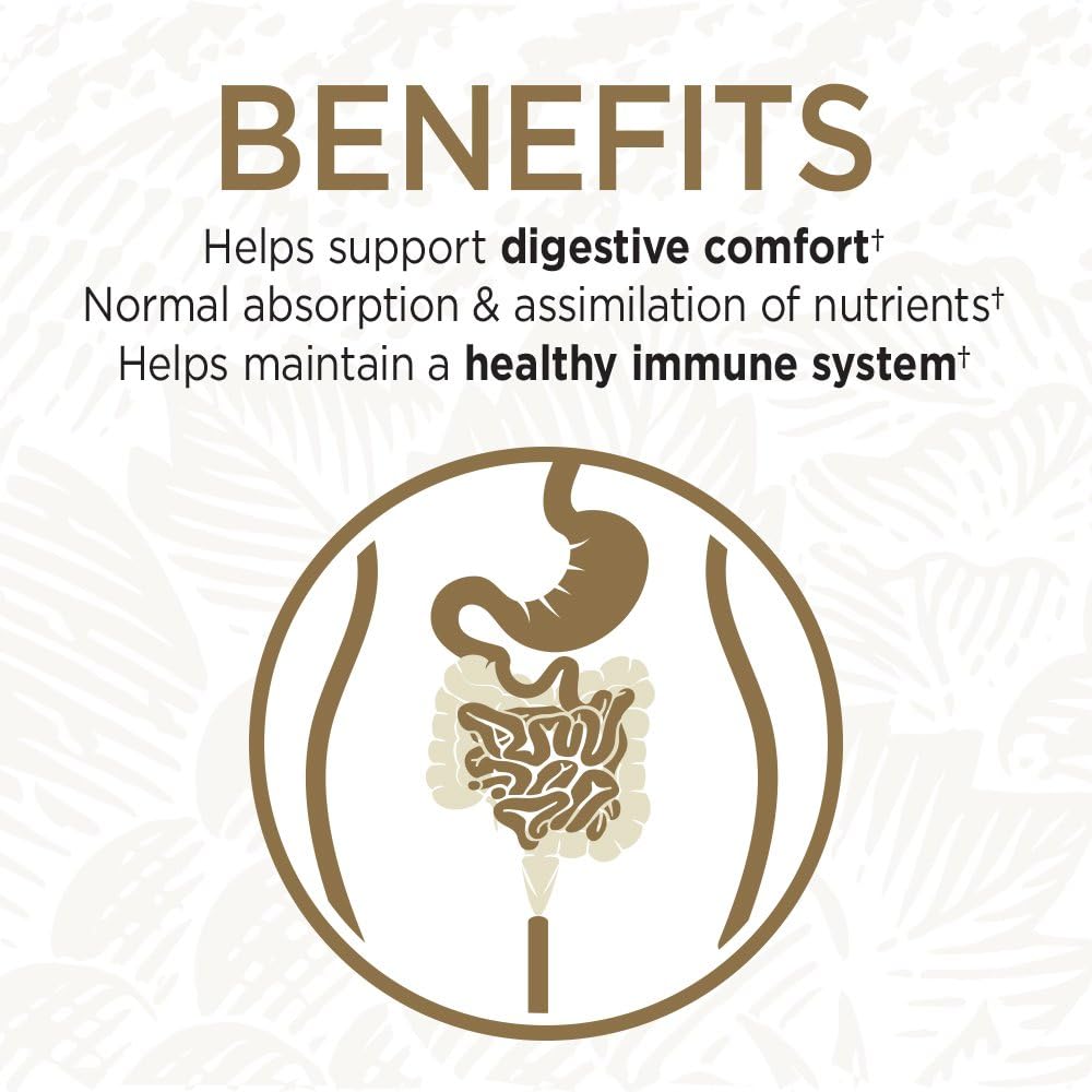 216-vegetarian-capsules---garden-of-life-probiotic-supplement-for-digestive-gut-health-2