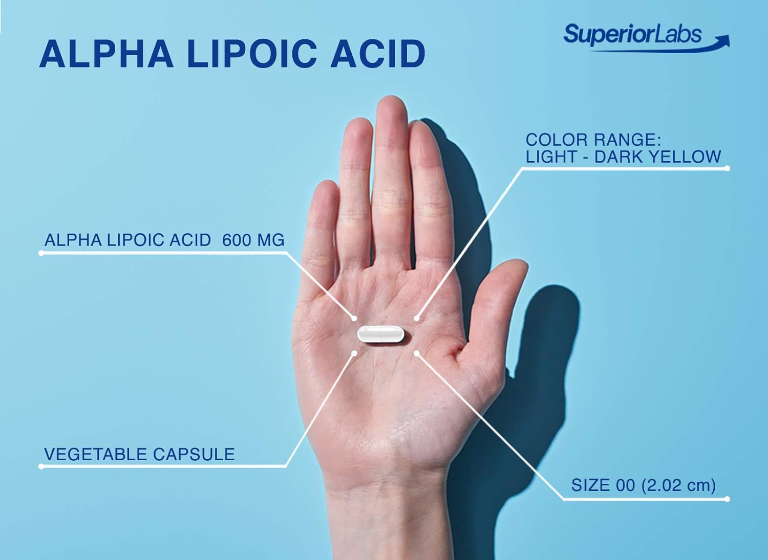 alpha-lipoic-acid-600mg---non-gmo-supplement-for-healthy-aging-nerve-health---4-month-supply---pure-formula-without-synthetic-additives---promotes-overall-wellbeing-3