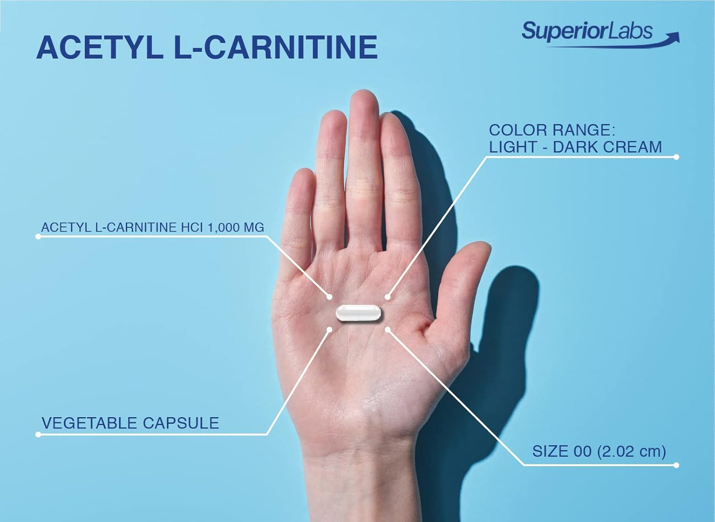 superior-labs-acetyl-l-carnitine-1000mg-capsules---200-count---pure-veggie-caps---superior-absorption-without-synthetic-additives-3