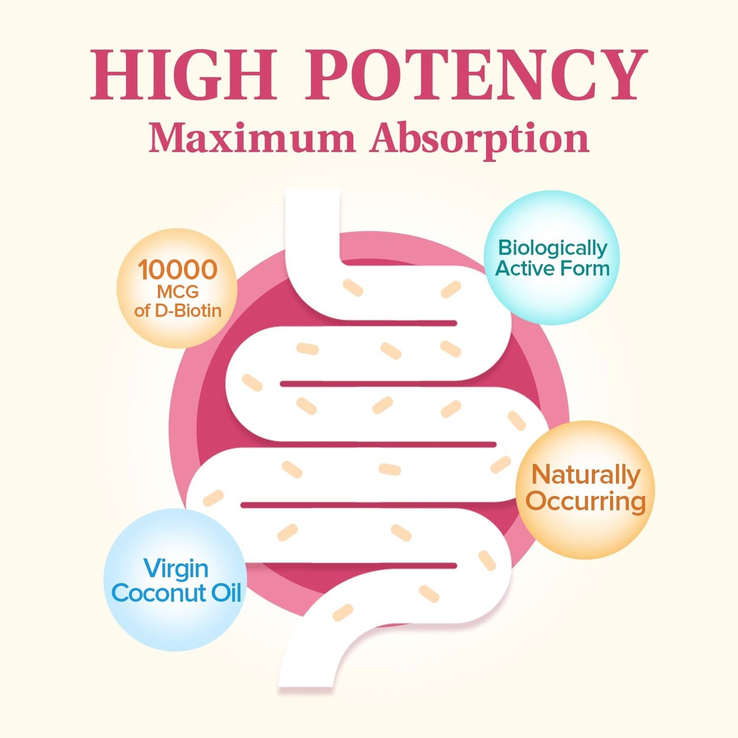 high-potency-naturemyst-biotin-10000-mcg-with-cold-pressed-coconut-oil---60-vegetarian-softgels-for-hair-nails-skin---biologically-active-formula-with-maximum-absorption-3