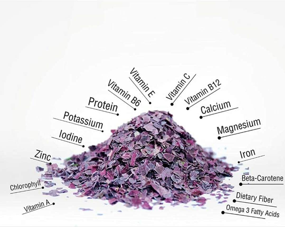 organic-atlantic-dulse-flakes-4-oz---hand-harvested-from-bay-of-fundy---rich-in-vitamins-b6-b12-iron-iodine---sun-dried-aquatic-veggies---high-in-protein-calcium-and-fiber---4-ounce-pack-7