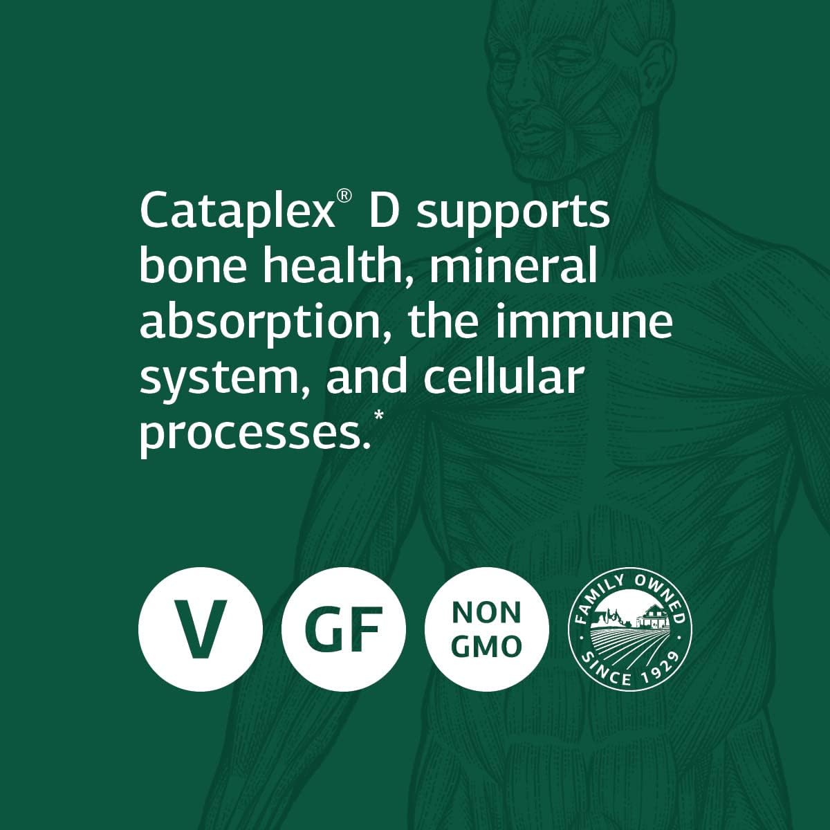 whole-food-immune-support-standard-process-cataplex-d-with-cholecalciferol-calcium-lactate-and-ascorbic-acid---vegetarian-tablets-for-digestive-bone-health-3