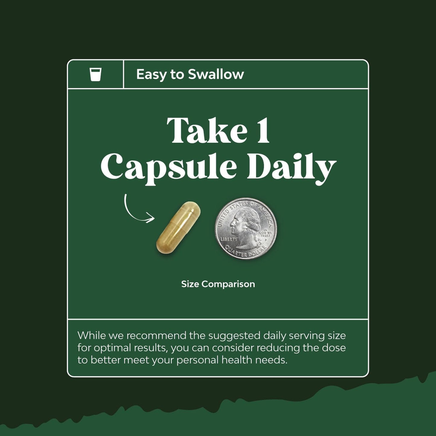High Potency Olive Leaf Extract Capsules - Natural Antioxidant Supplement with 20% Oleuropein for Heart Health - Vegan, Non-GMO, Gluten Free - 2 Month Supply by Natures Craft - Espot.com.au