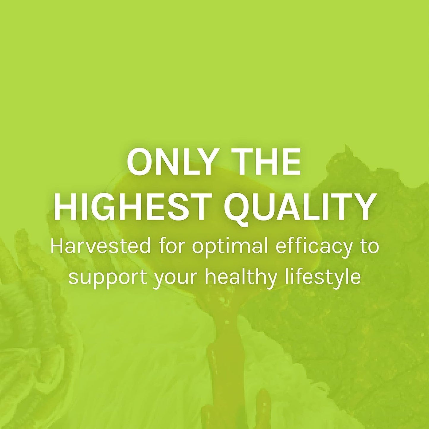 agarikon-mushroom-capsules---immune-system-support-supplement---boosts-immune-functions-cell-strength---herbal-dietary-supplement---60-capsules-8