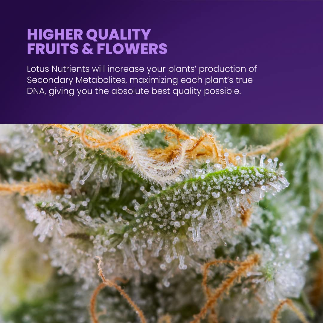 lotus-nutrients-powdered-plant-nutrients-pack-for-hydroponics-coco-coir-and-soil---grow-bloom-boost-calmag-with-nitrogen-calcium-and-magnesium---indooroutdoor-plants-4