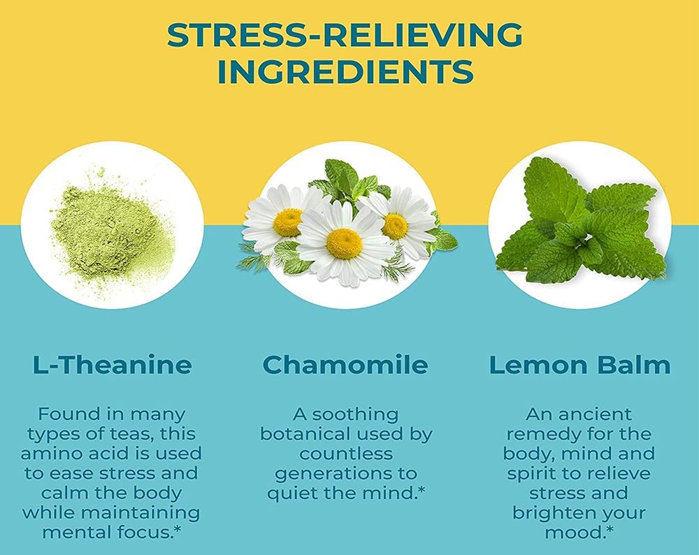 Hyland's Stress Busters Gummies - Calm and Focus Vegan Supplement with L-Theanine, Chamomile, and Lemon Balm - 60 Gummies (30 Days) - Espot.com.au