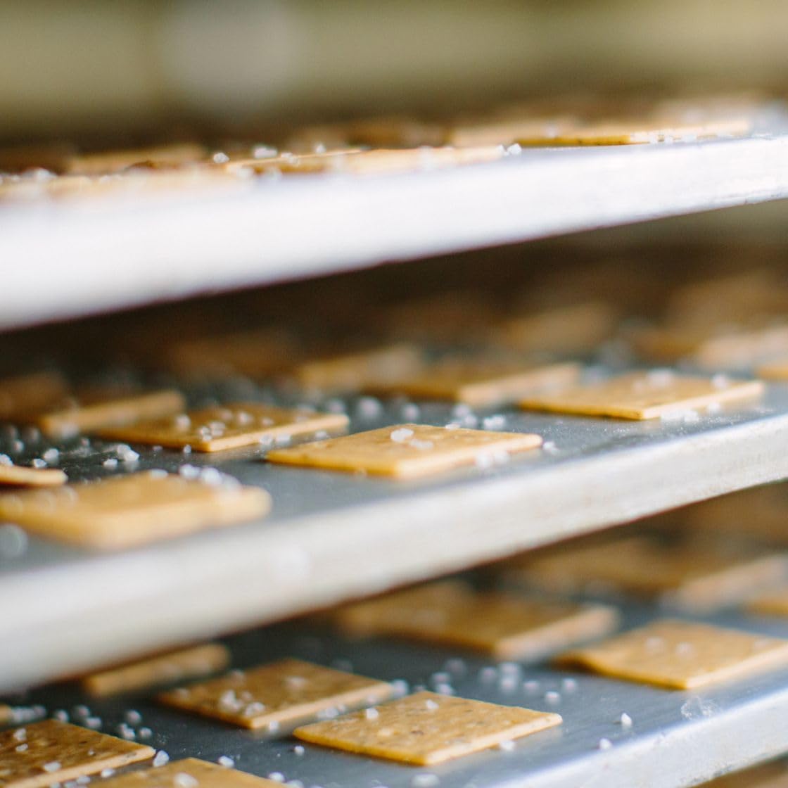 organic-einkorn-rosemary-sourdough-crackers-for-cheese-platter---usda-certified-non-gmo-45-oz-5-pack---jovial-sourdough-crackers-4