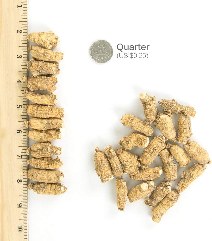 cultivated-american-ginseng-from-marathon-co-wisconsin-usa---4oz-box---hsus-ginseng---short-medium-small---sku-113-4-----3