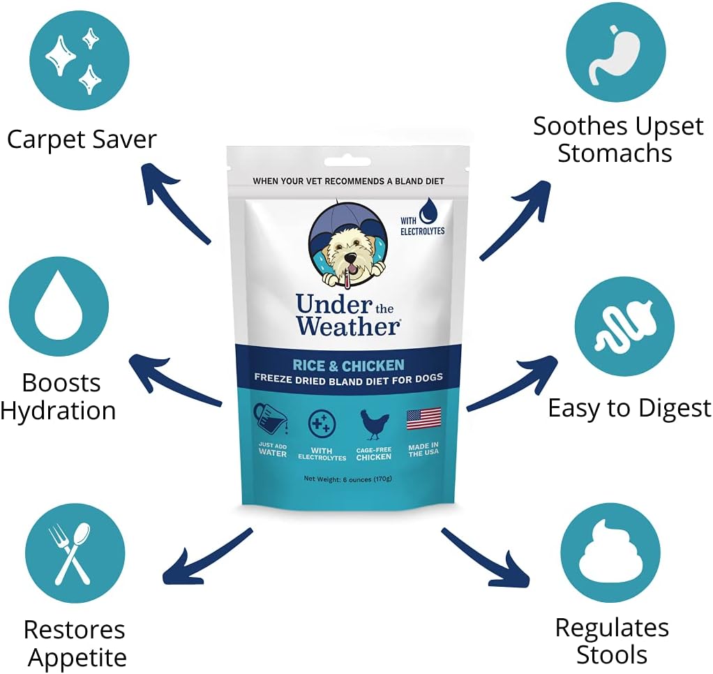 all-natural-freeze-dried-chicken-and-rice-bland-diet-for-sick-dogs-easy-to-digest-with-electrolytes-6oz-pack-human-grade-ingredients-3