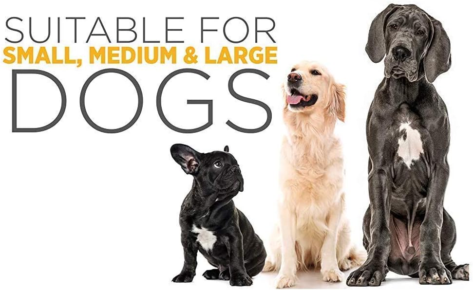 bundle-for-dogs-urinary-health---sam-e-support-canine-bladder-supplement-by-maxxipaws-8