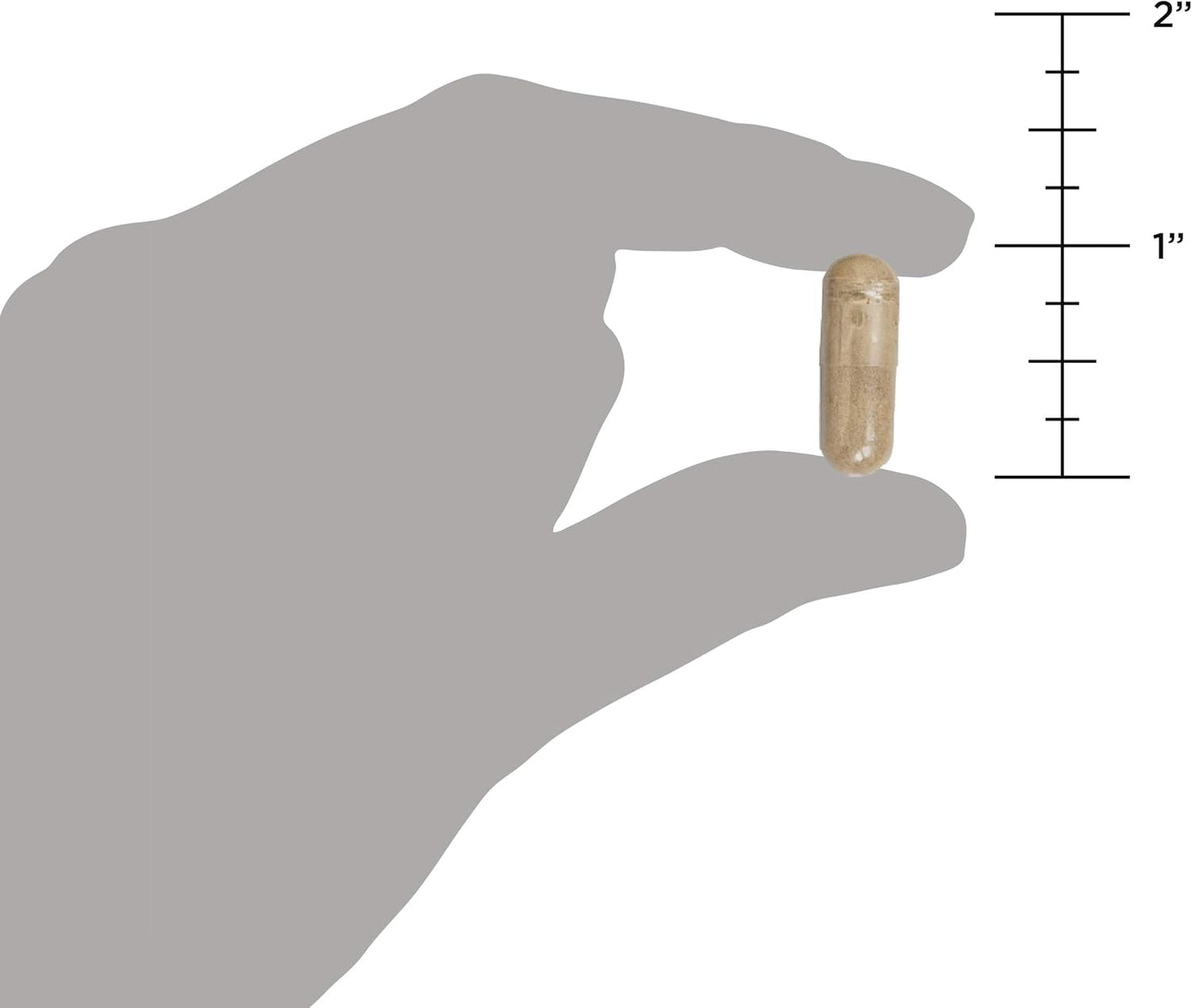 Probiotic Gut Restore Capsules with Superfoods Blend - 90ct, 50 Billion CFUs/Serving - Supports Digestion, Reduces Diarrhea, Constipation, Gas and Bloating - Includes Ginger and Fenugreek - Espot.com.au