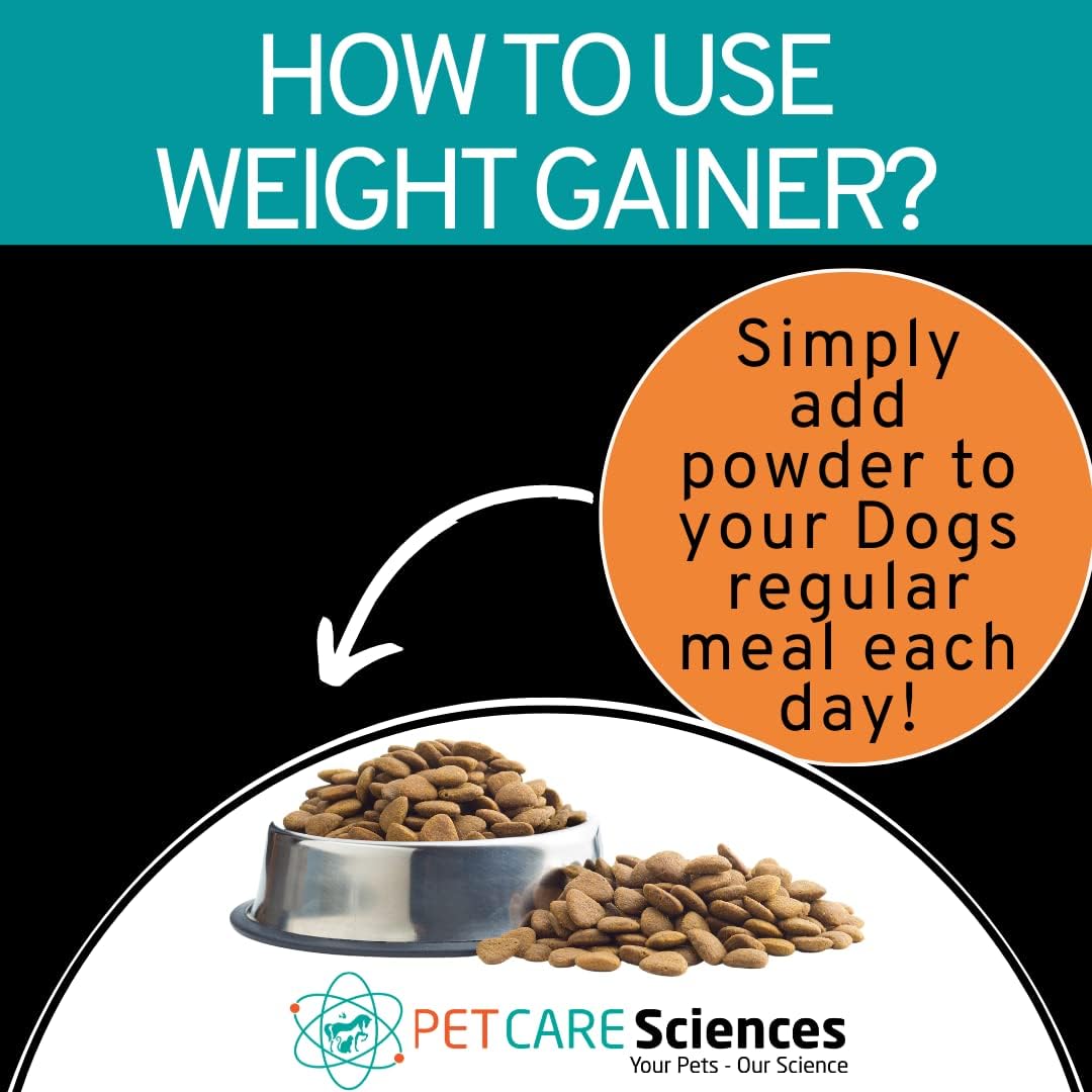 high-calorie-dog-food-supplement-for-muscle-growth---dog-weight-gainer-with-protein-powder---canine-weight-gain-supplements---45-servings-6