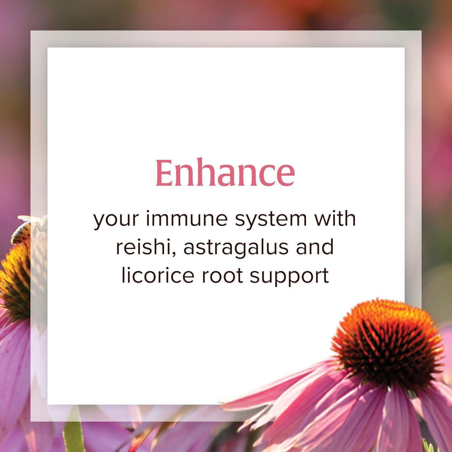 organic-echinacea-supplement-for-immune-support---anti-v-liquid-formula-by-natural-factors-non-gmo-100-servings-34-oz-4