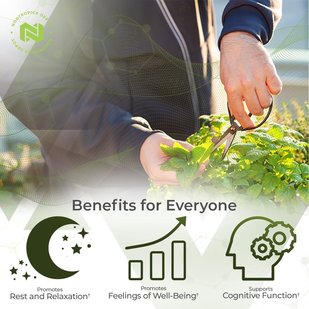 lemon-balm-extract-tablets---500mg---120-count---high-quality-nootropic-supplement-with-101-water-ethanol-extract---enhance-cognitive-function-and-support-relaxation-4