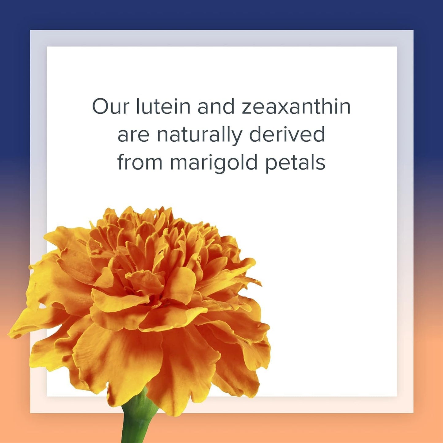 lutein-40mg-softgels-with-zeaxanthin-for-eye-and-skin-health---natural-antioxidant-support-60ct-6