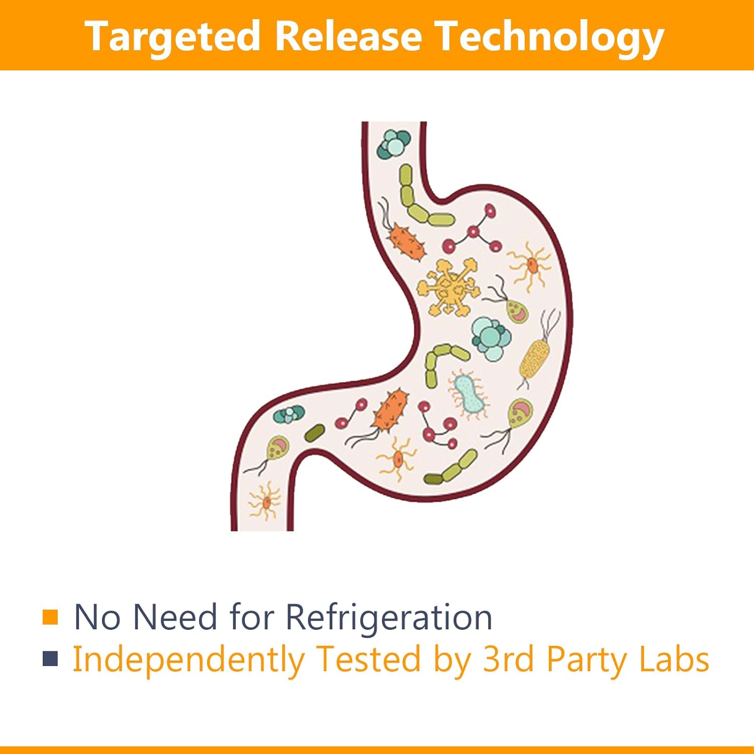 high-potency-probiotics---50-billion-cfu-20-strains-120-veg-caps-targeted-release-stomach-acid-resistant-non-refrigerated-non-gmo-gluten-free-5