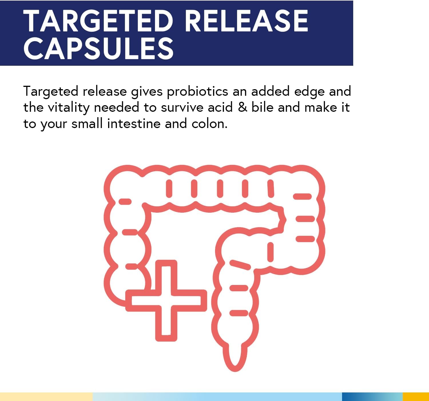 terranics-daily-probiotics-150-billion-25-strains-colon-care-with-prebiotics-enzymes---healthy-regularity-delayed-release---60-veggie-capsules-5