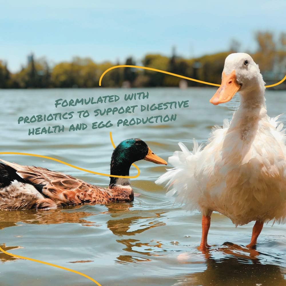 8-lb-manna-pro-duck-layer-pellet-with-high-protein-for-egg-production-probiotics-for-digestion-support-4