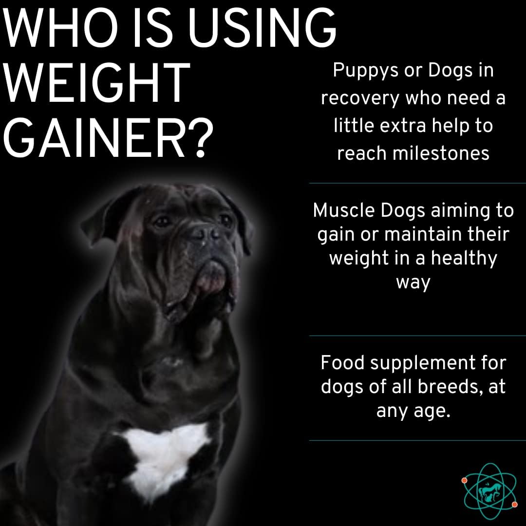 high-calorie-dog-food-supplement-for-muscle-growth---dog-weight-gainer-with-protein-powder---canine-weight-gain-supplements---45-servings-3