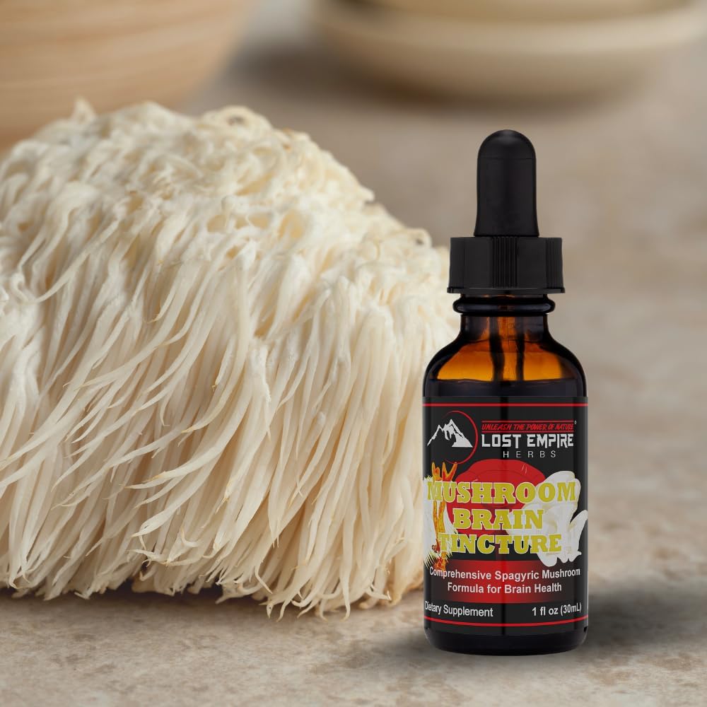 mushroom-brain-spagyric-tincture-lions-mane-cordyceps-reishi-oyster-mushrooms-extract-for-cognitive-support-1-fl-oz-1
