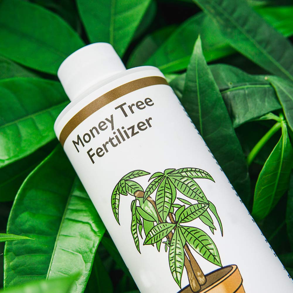 premium-liquid-money-tree-fertilizer---8oz-concentrated-pachira-aquatica-fertilizer-for-indoor-outdoor-use---ideal-for-containerized-money-trees-2