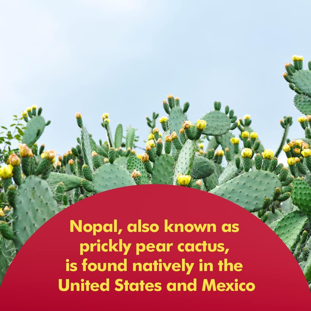 santo-remedio-resveratrol-and-nopal-supplement-pack---natural-antioxidant-and-blood-sugar-support-5