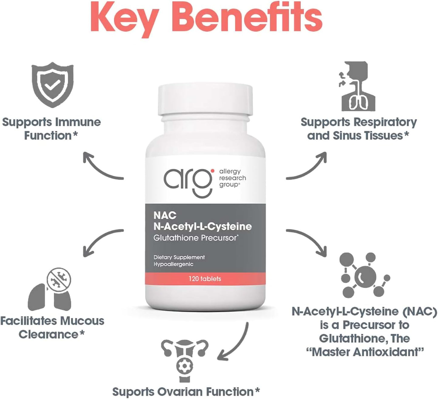 hypoallergenic-nac-supplement-for-immune-support---120-count---glutathione-precursor-mucus-clearance-free-form-amino-acid---allergy-research-group-4