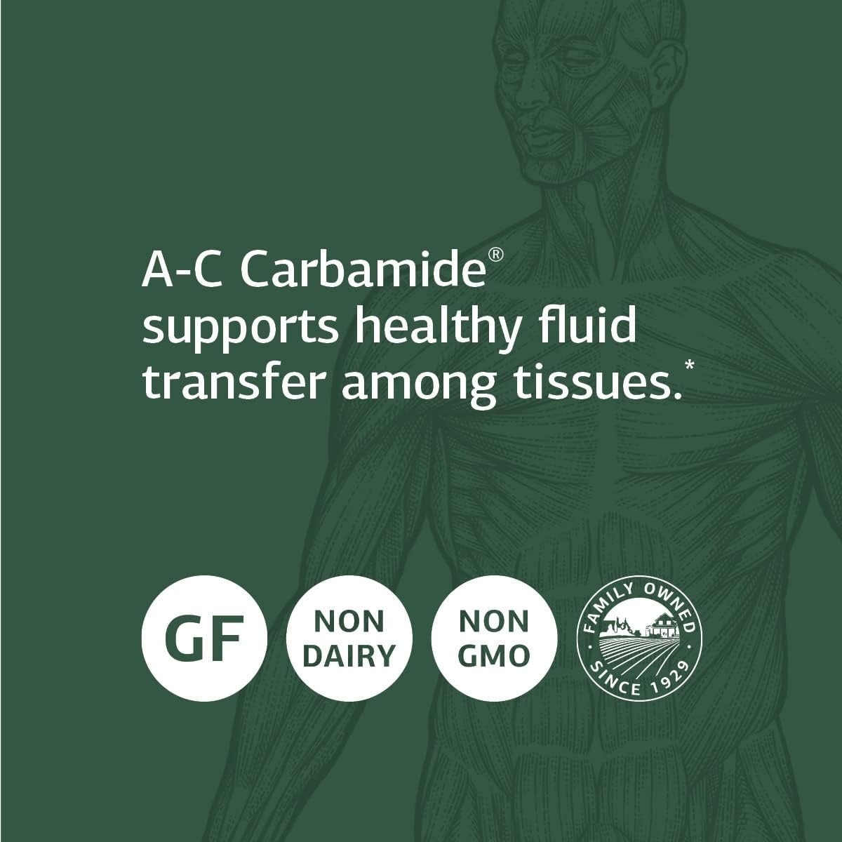 gluten-free-kidney-support-supplement-with-vitamin-a-and-c---standard-process-a-c-carbamide---90-capsules-3