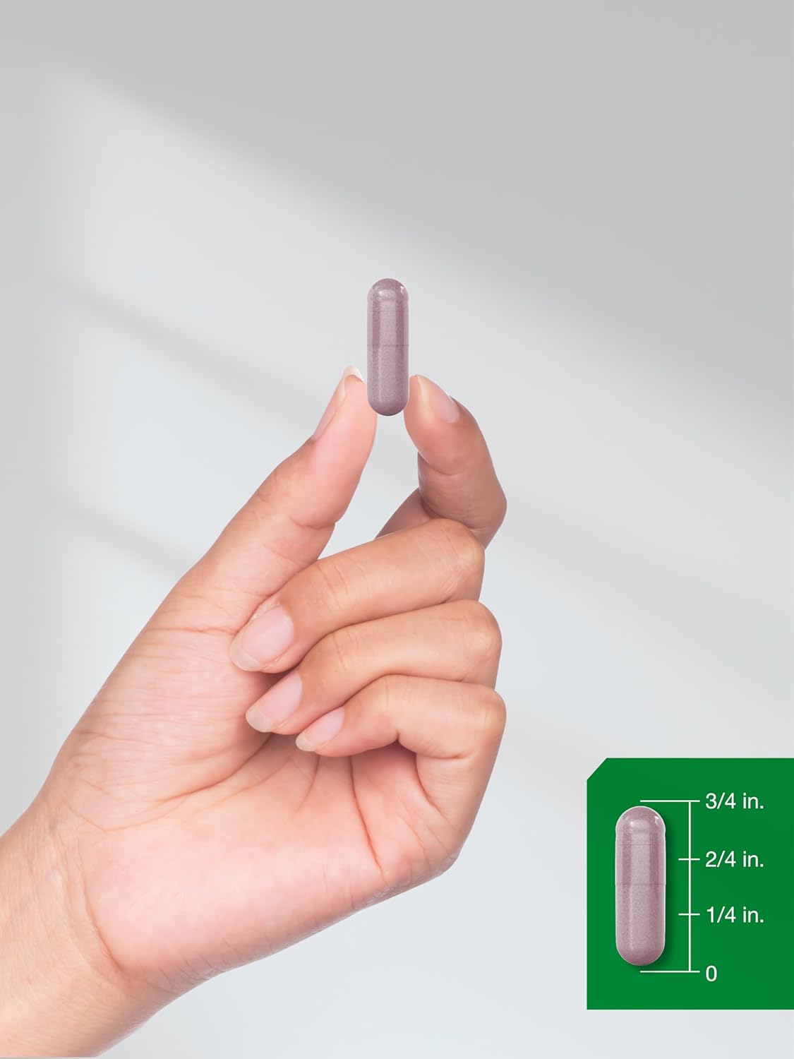 1200mg Bilberry Fruit Extract Capsules - 100 Count | Vegetarian, Non-GMO, Gluten Free Supplement by Horbäach - Espot.com.au