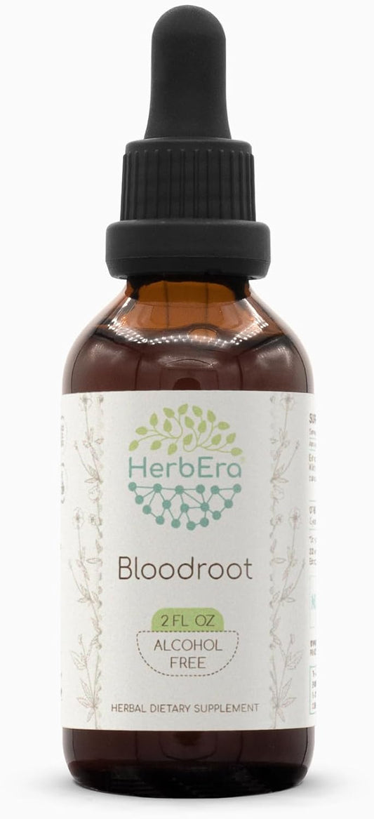 HerbEra Bloodroot Tincture - Super-Concentrated Alcohol-Free Extract from Responsibly Farmed Dried Bloodroot Root (Sanguinaria Canadensis) - 2 Fl Oz - Espot.com.au