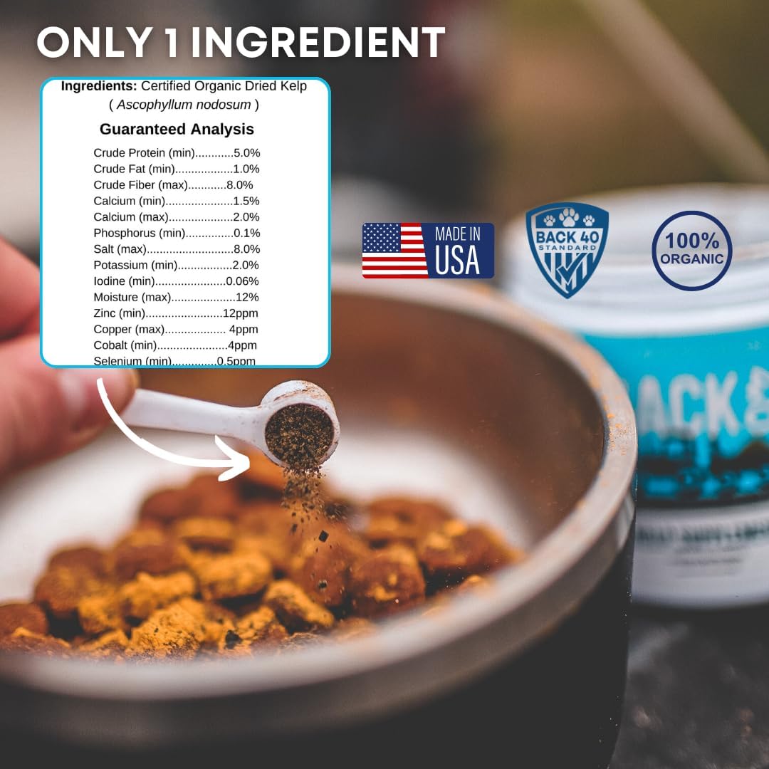 premium-back-40-dogs-kelp-powder-supplement---453g---rich-in-iodine-omegas-for-thyroid-dental-immune-digestive-heart-health---optimal-pet-health---multifunctional-dog-vitamins-7