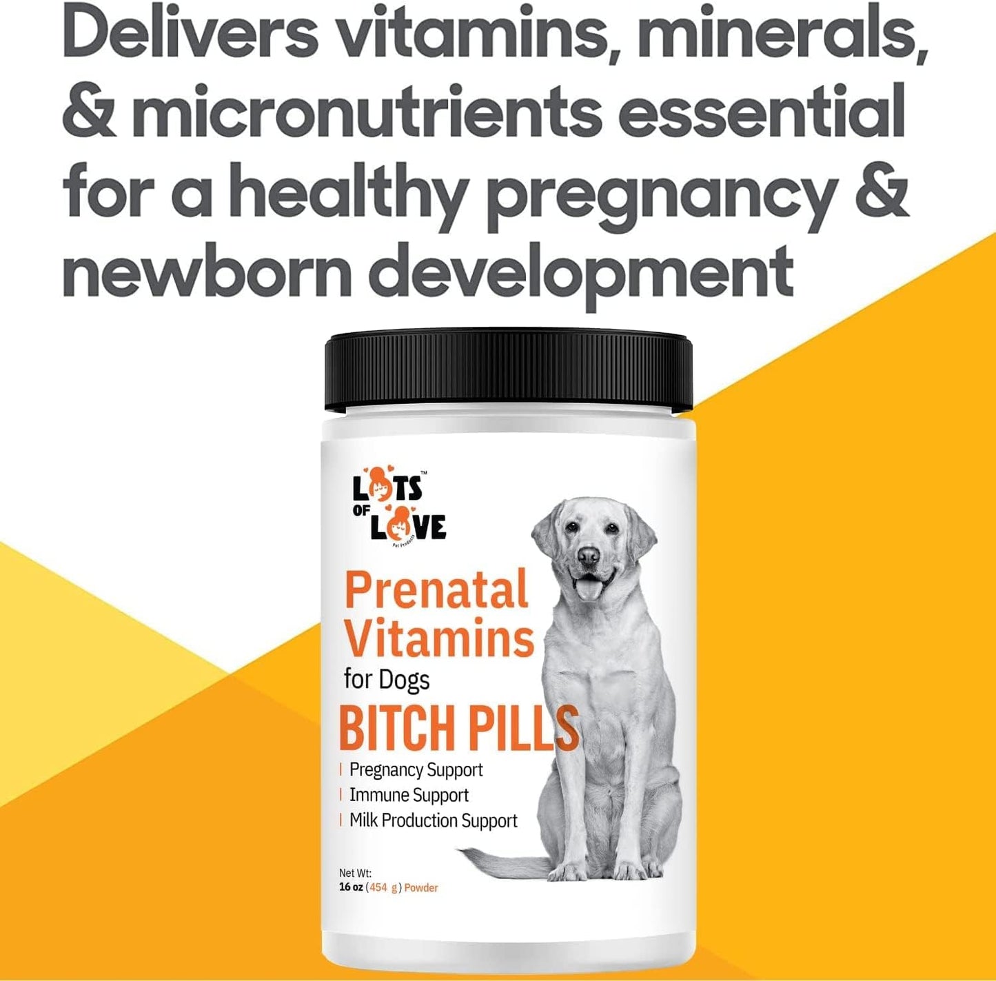 prenatal-vitamins-for-dogs---bitch-pills-powder-form-with-folic-acid-b12-calcium---pregnant-dog-supplies-liver---1-pound-5