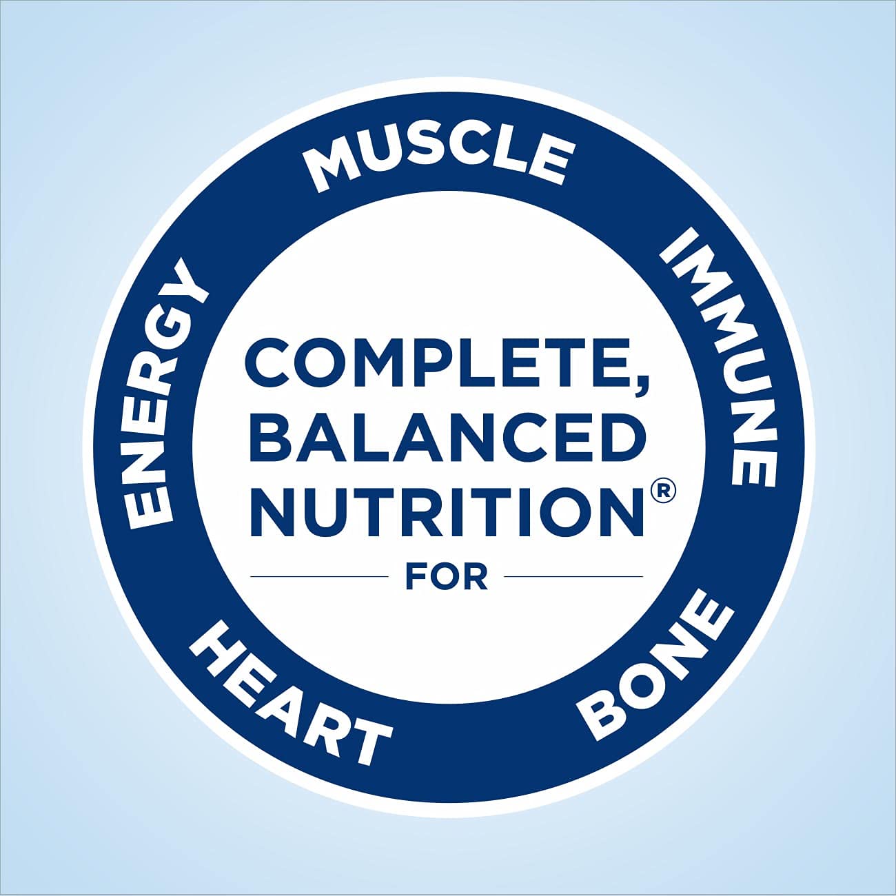 nutritious-dark-chocolate-meal-replacement-shake---6-pack-for-your-daily-needs-2