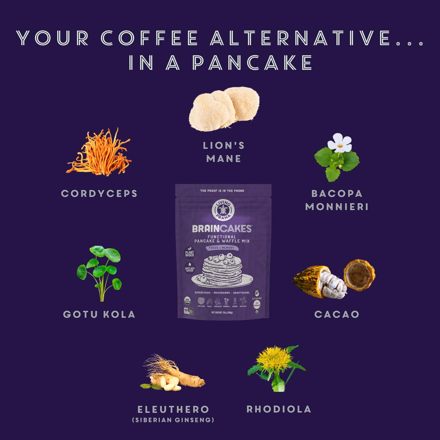 living-prana-braincakes-superfood-pancake-waffle-mix---organic-gluten-free-memory-focus-support---12oz-4