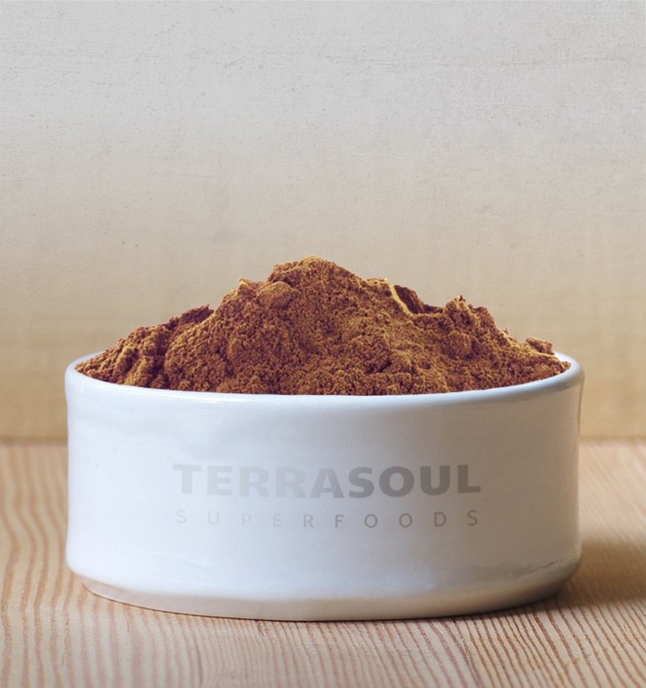 organic-raw-cacao-powder---16-oz---ideal-for-baking-smoothies-hot-cocoa---terrasoul-superfoods-3