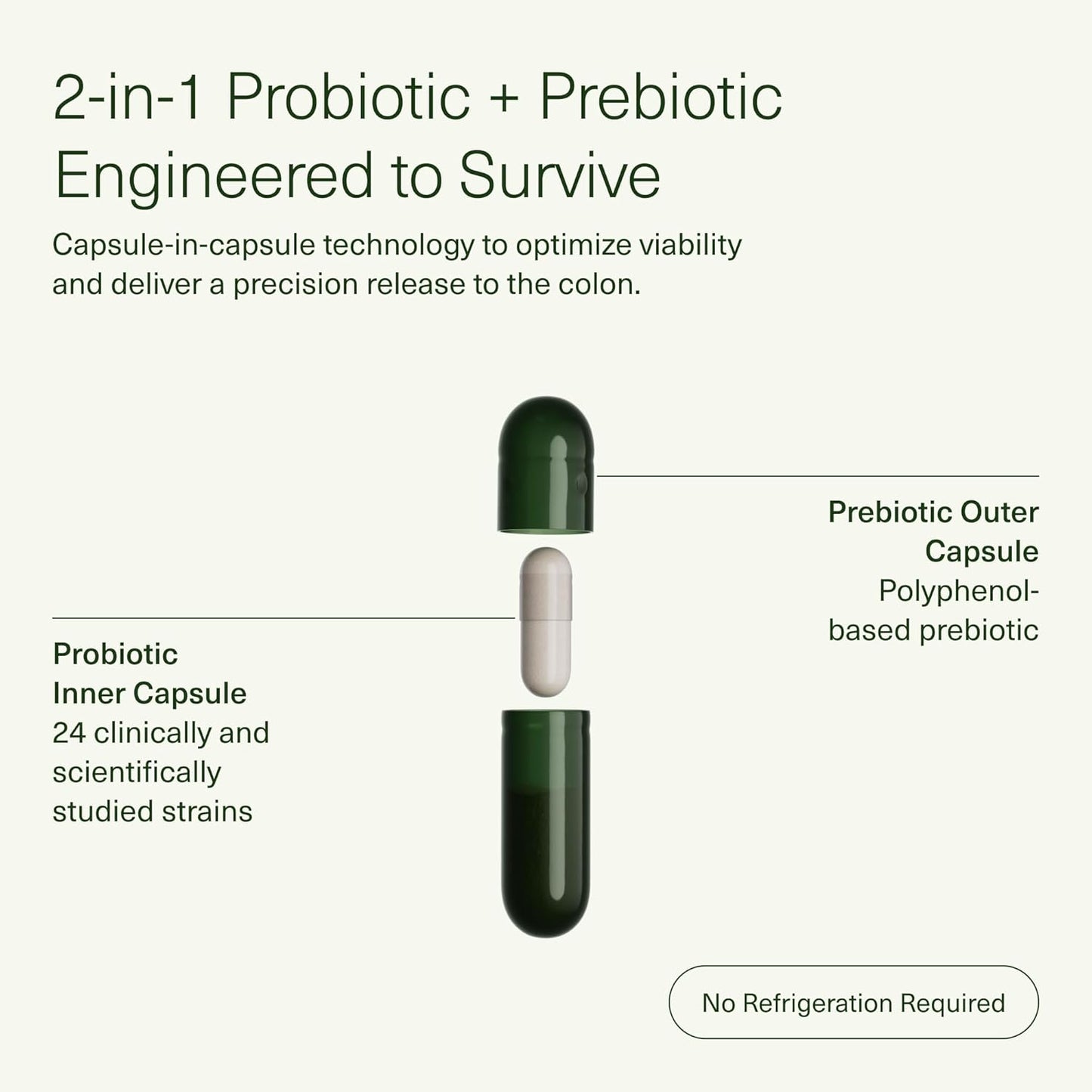 daily-synbiotic-ds-01-prebiotic-and-probiotic-for-digestive-health---immune-support-bloating-relief---vegan-shelf-stable---60-capsules-4